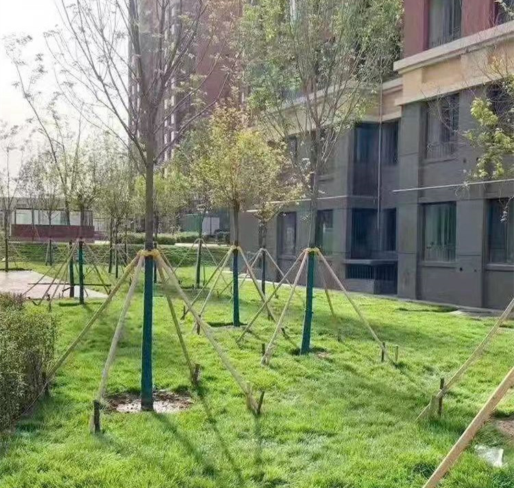 树木支撑固定器园林植物防风放倒护林园林绿化  树木固定器  防风防倒