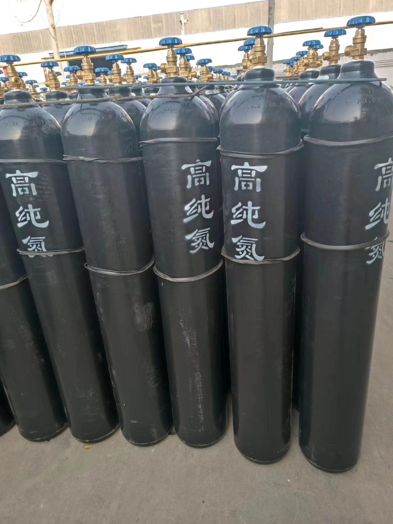 协力气体山东地区99.999%氮气 生产瓶装高纯气体  标准气体  工业气体