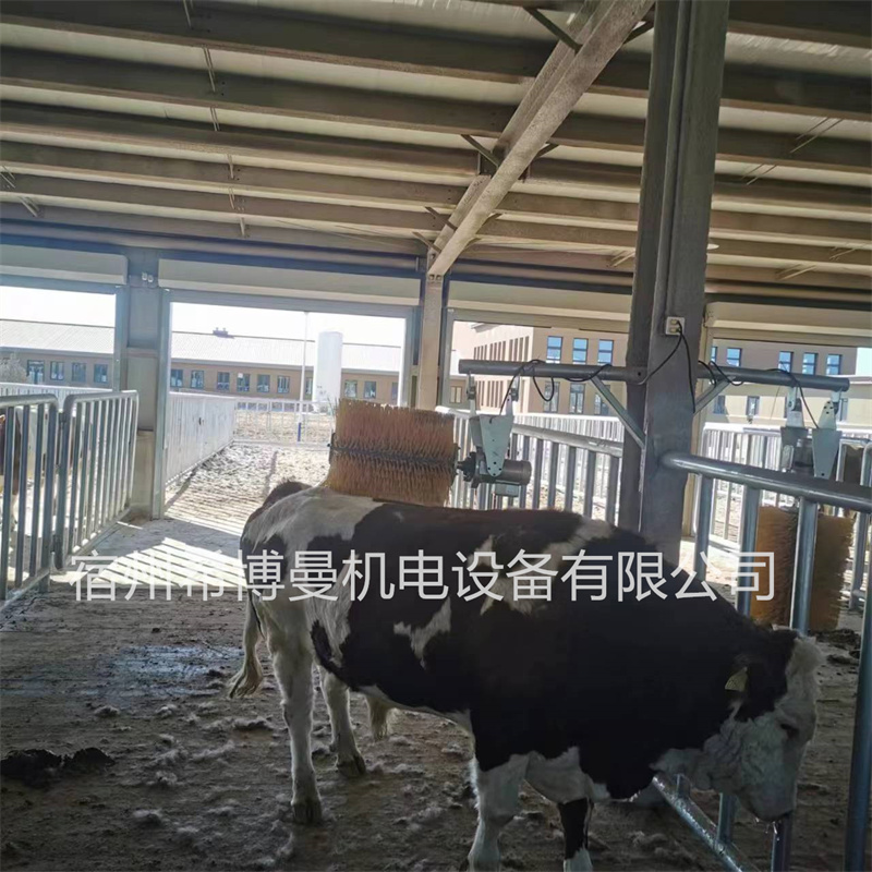全自动奶牛清洁止痒滚筒刷 牛马骡蹭痒挠痒毛滚刷  全自动奶牛刷
