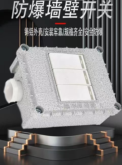防爆开关220V10A明装暗装墙壁86型单开双开三开