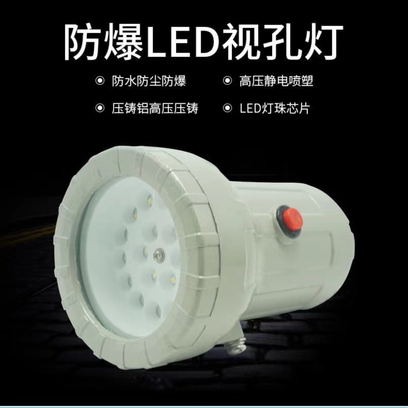 防爆视孔灯BSD96化学容器LED视孔灯一体式12V220V