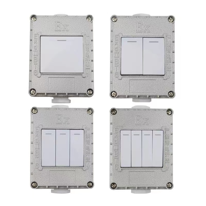 防爆开关220V10A明装暗装墙壁86型单开双开三开