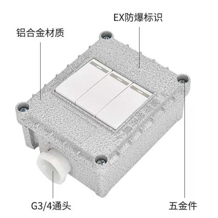 防爆开关220V10A明装暗装墙壁86型单开双开三开