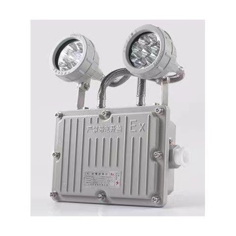 防爆标志灯EPS灯版双面LED双头应急灯消防BCJ