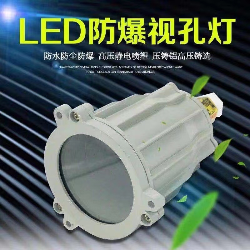 防爆视孔灯防爆灯内饰灯LEDBSD-360/100防爆视孔灯