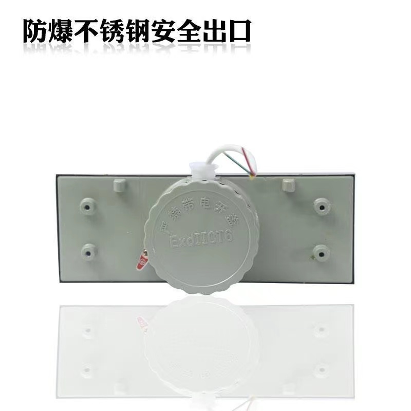 防爆标志灯不锈钢安全出口BYY-IICT6左右正向应急灯