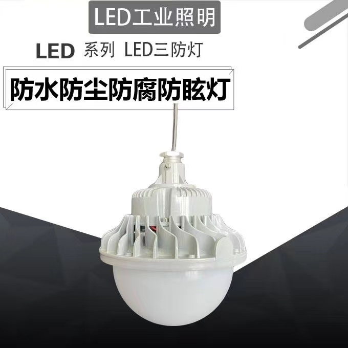 防爆LED免维护节能灯防水防尘防腐FGV6215  防爆LED灯