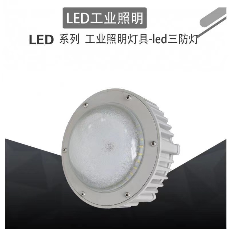 led防爆灯FGV6207三防灯防水防炫防腐工厂平台灯  防爆LED灯