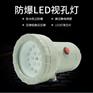 防爆视孔灯BSD96化学容器LED视孔灯一体式12V220V