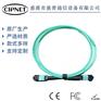 8芯MPO/PC-MPO/PC母头OM3/300LSZh