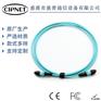 12芯MPO/PC-MPO/PC母头OM3/300LSZh