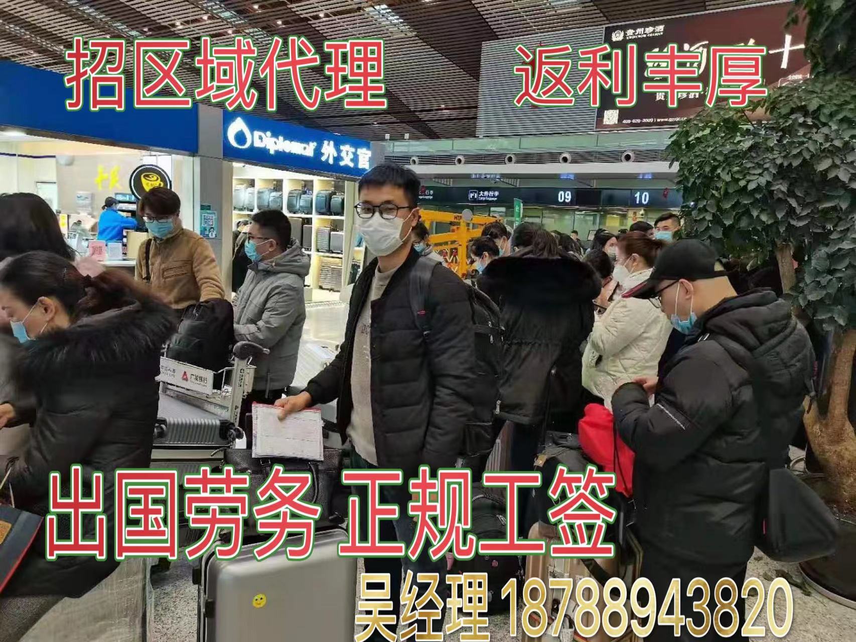 澳大利亚出国劳务薪资月结雇主直招  出国打工  正式合同  一手项目