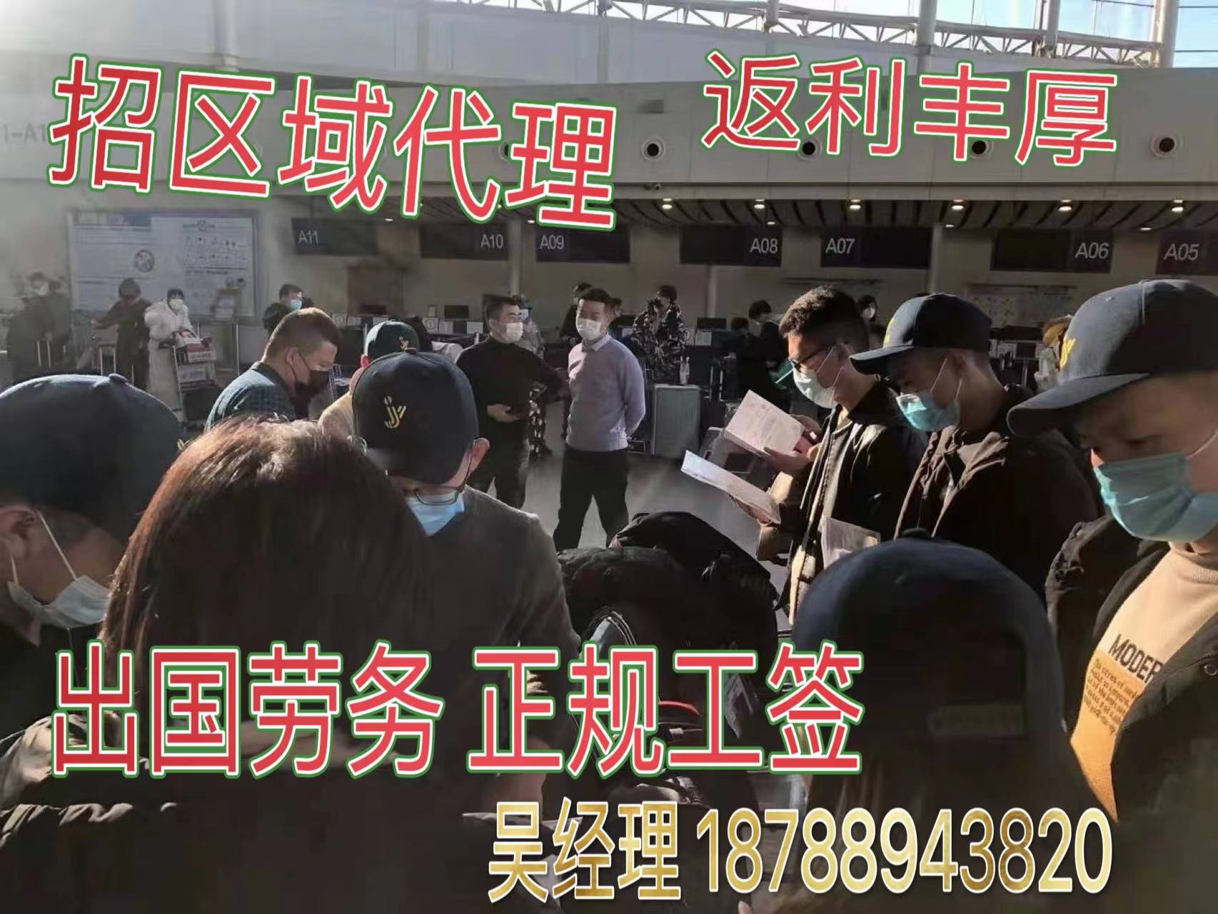 建筑工厨师月嫂新西兰打工包吃包住  出国打工  出国劳务费用  工资月结