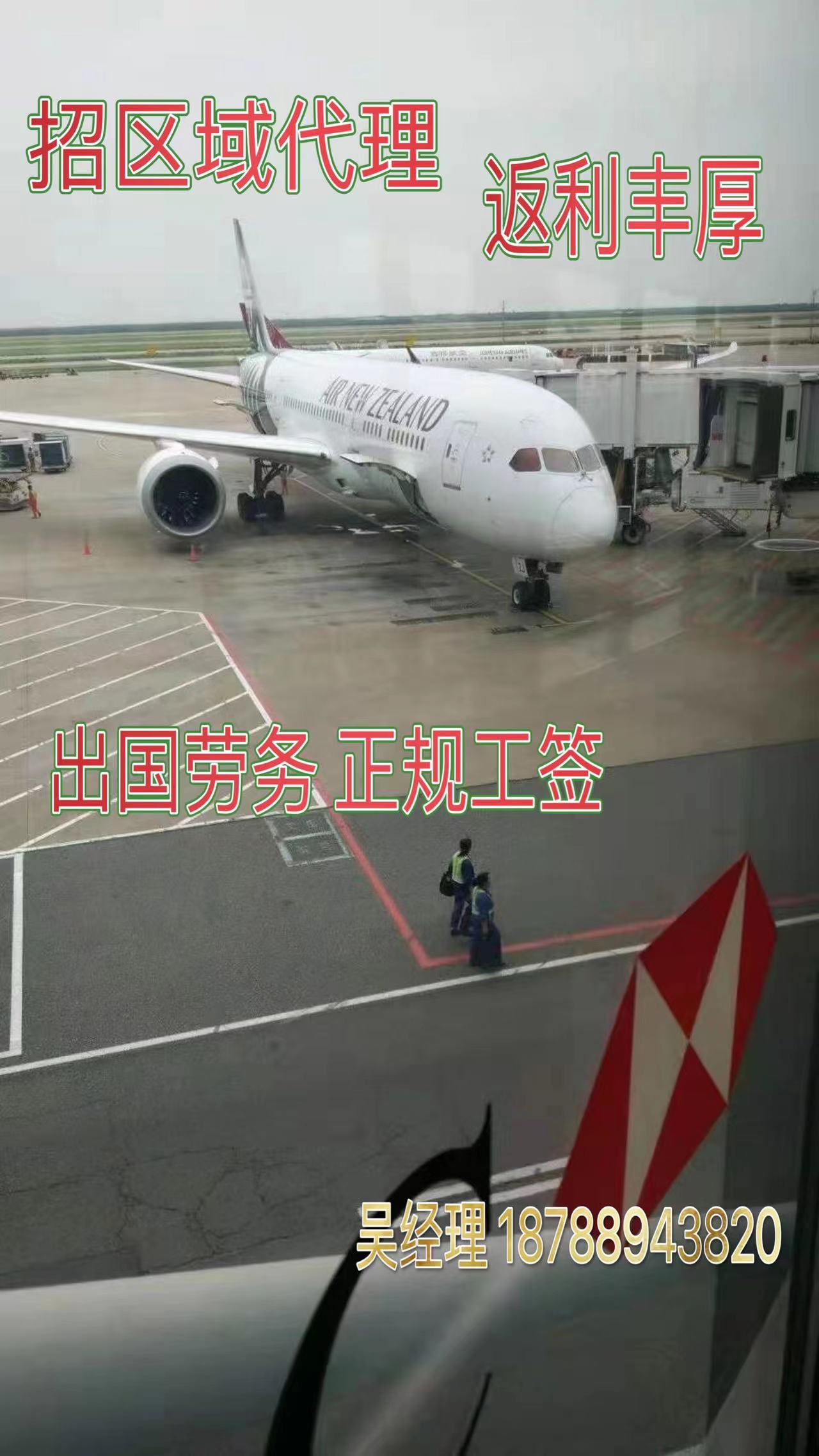 新西兰出国劳务费用咨询通过率高  出国打工  正式合同  一手项目