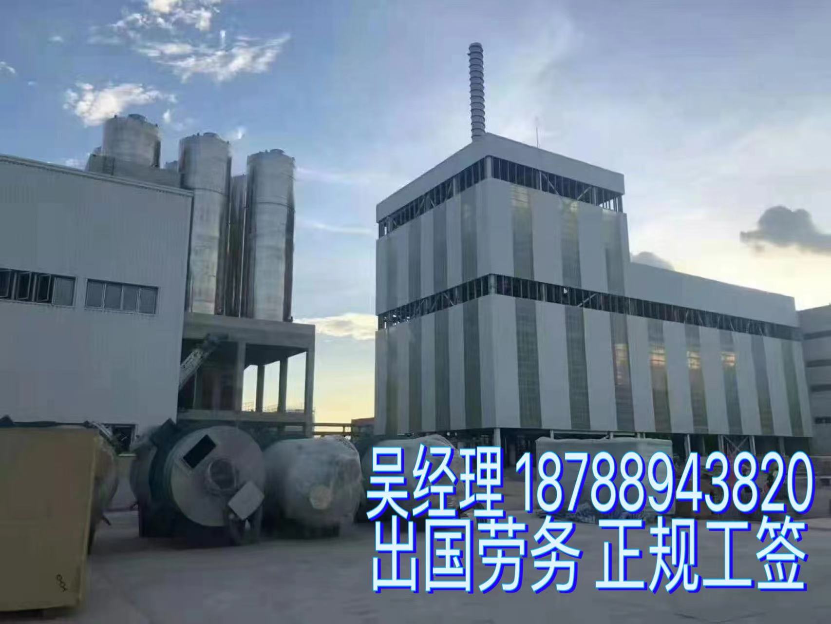 新西兰出国劳务费用咨询通过率高  出国打工  正式合同  一手项目