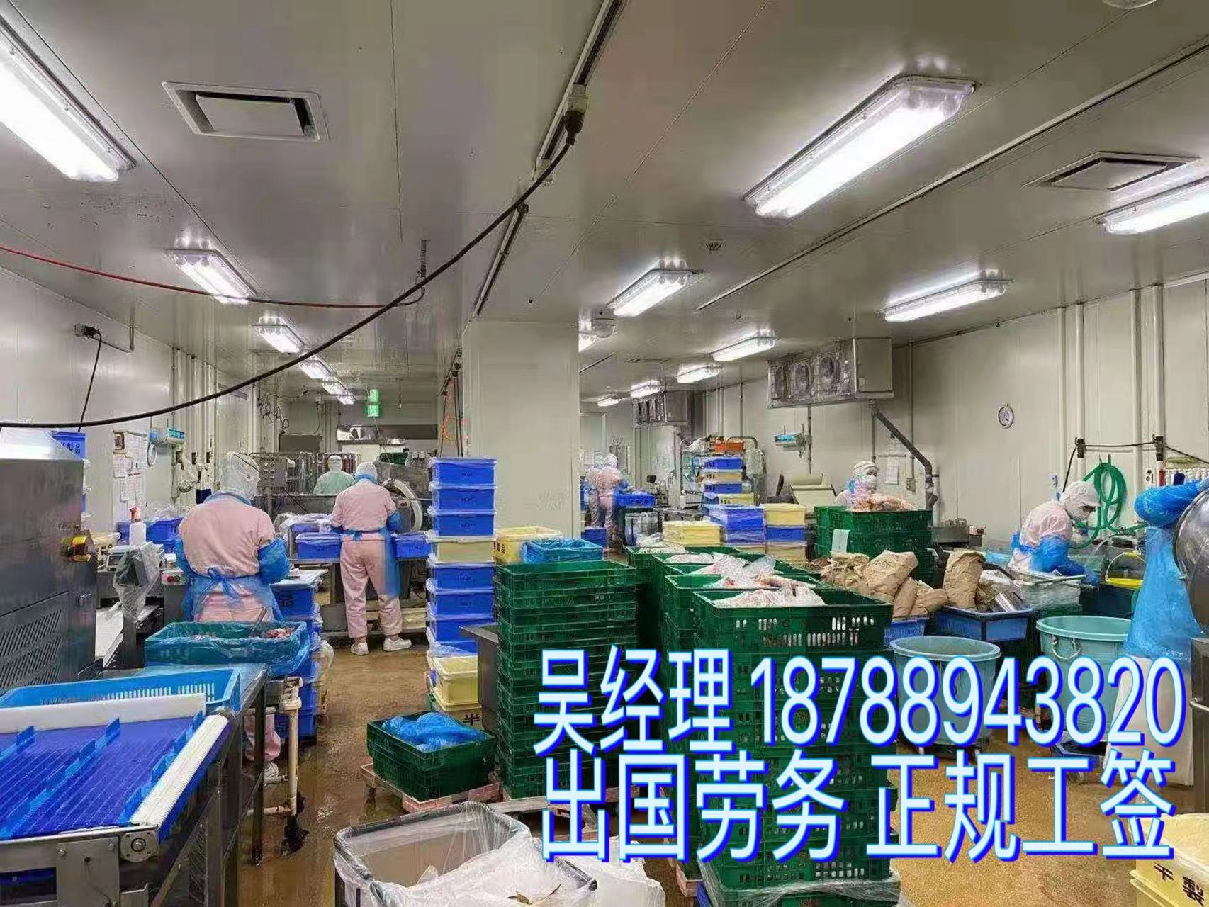 出国打工需要多少钱加拿大搬运工包装货运司机  正式合同  一手项目