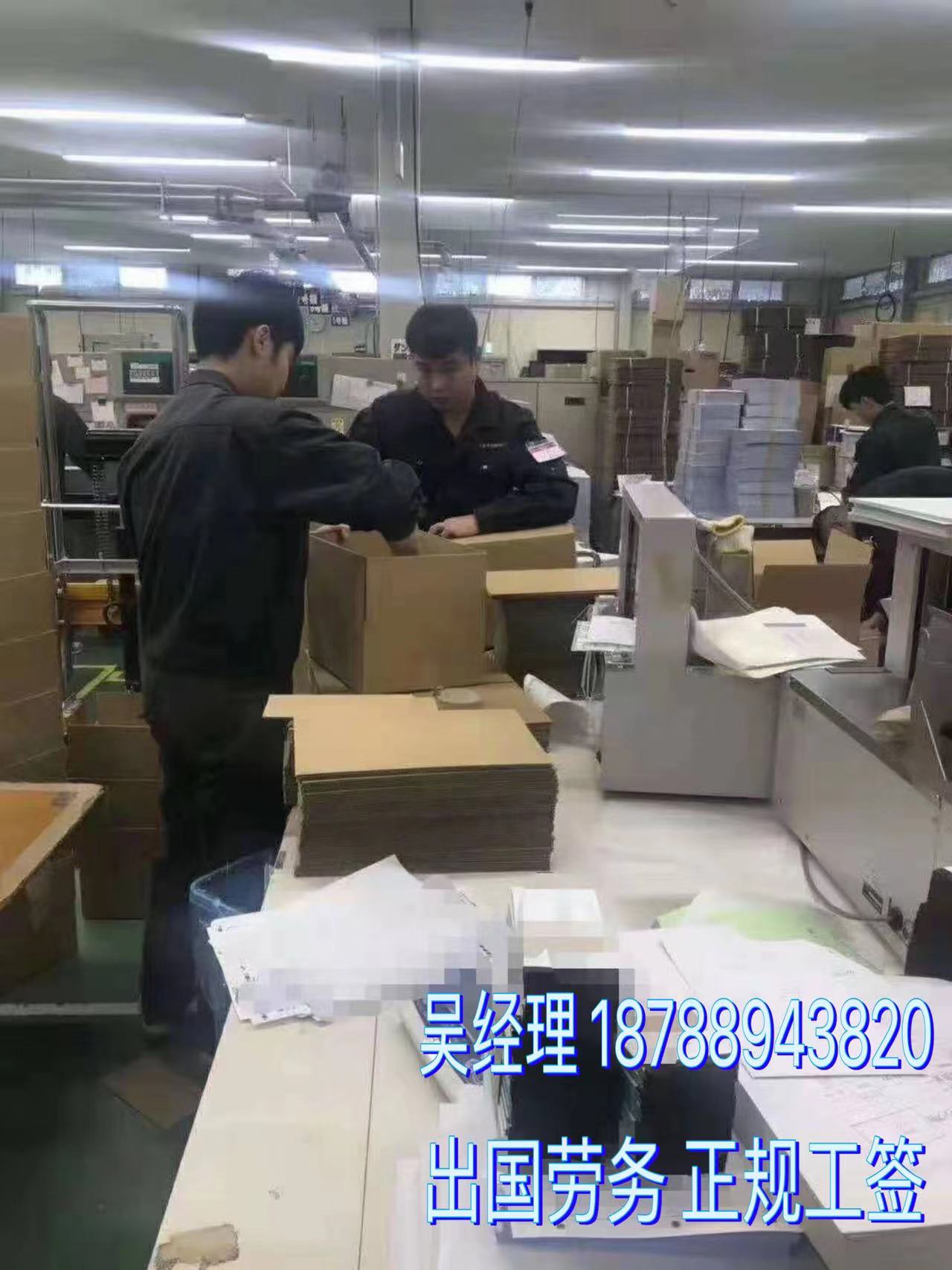 搬运工油漆工水电工包装工英国打工包吃包住  出国打工  一手项目  工资月结