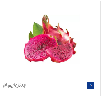 广州机械设备进口清关