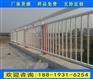 广州城市栏杆多少钱一米花都防撞桥梁护栏厂家