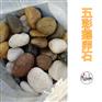 彩色鹅卵石盆景装饰石/广东石子价格/鹅卵石一吨