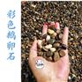 广东五彩鹅卵石市场/园区地铺彩色石子/鹅卵石一吨