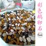 深圳五彩鹅卵石市场/室内地铺彩色石子/吨位鹅卵石价位