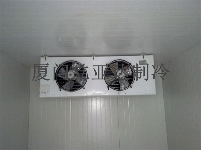 安溪铁观音冷库 茶叶冷库 绿茶保鲜库