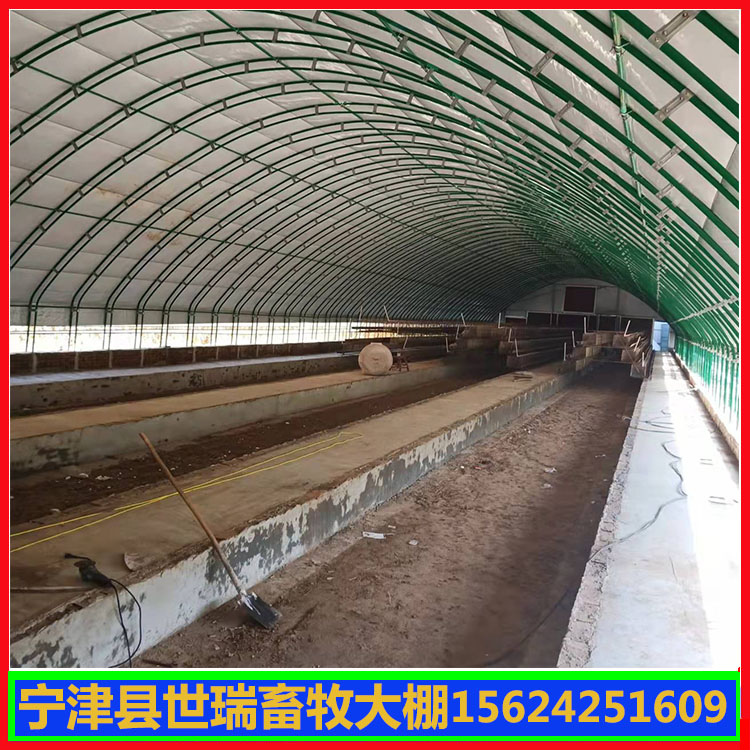 建设蛋鸡养殖大棚 鸡舍大棚搭建 散养鸡棚施工安装