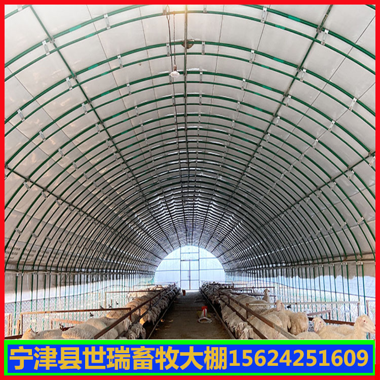 建设蛋鸡养殖大棚 鸡舍大棚搭建 散养鸡棚施工安装