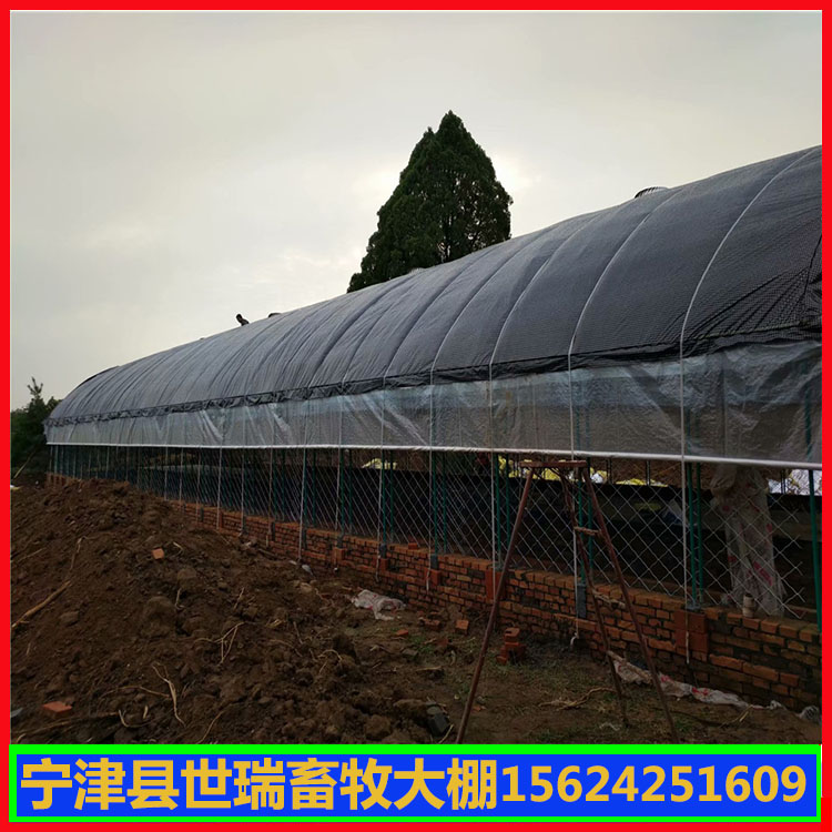 养牛大棚施工规划 牛棚建造材料 牛舍大棚安装厂家
