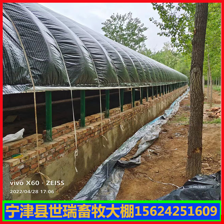 养鸡大棚安装生产 鸡舍大棚建设 肉鸡养殖大棚搭建