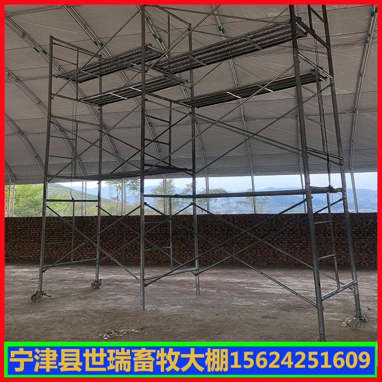 建设养猪大棚 大棚式猪舍搭建 宁津县世瑞畜牧设备  宁津世瑞畜牧设备