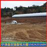 肉牛舍大棚建设 养牛大棚搭建 肉牛养殖大棚安装材料