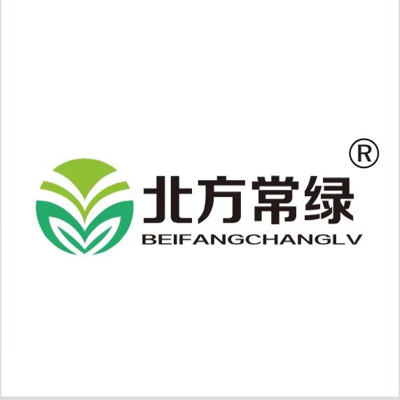 花叶芒繁殖方法、栽培技术-北京基地分享！  花叶芒基地  北京花叶芒  花叶芒杯苗