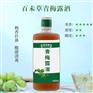 青梅露酒代加工生产定制加工厂 瓶装300ml果味露酒贴牌
