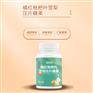 橘红枇杷叶雪梨压片糖果糖商用代加工odm