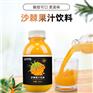 沙棘果汁饮料贴牌代工定制热灌装植物饮料定制厂家