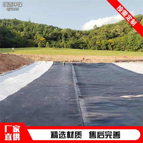 复合土工膜 HDPE土工膜 防渗土工膜 人工湖土工膜