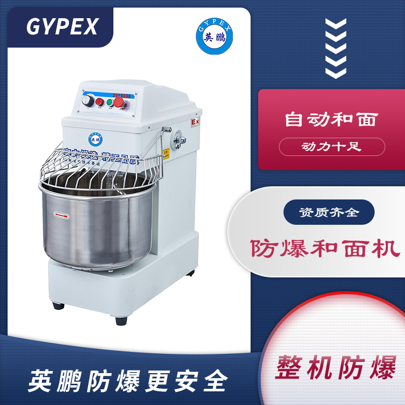 防爆和面机YP-10/EX