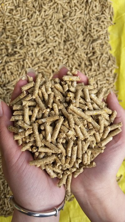 提供植物源性饲料进口清关服务  进口门到门