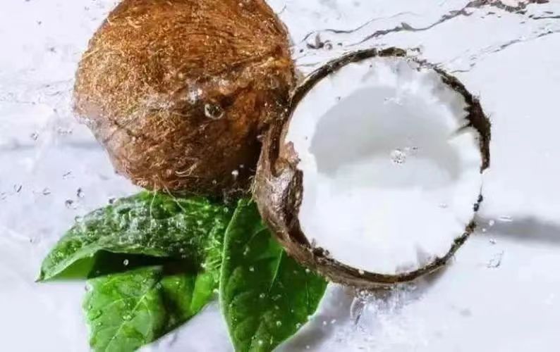 水果椰子进口清关服务  水果进口清关  进口物流
