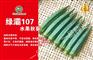 日本绿灞107水果秋葵种子