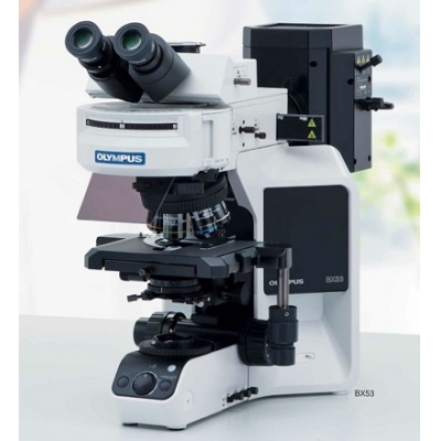 奥林巴斯Olympus BX53正置生物显微镜  奥林巴斯生物显微镜  徕卡生物显微镜