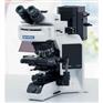 奥林巴斯Olympus BX53正置生物显微镜