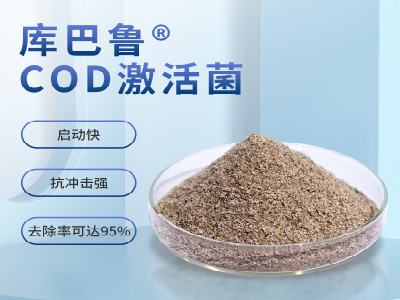 COD超标，难降解，新型COD处理药剂厂家价格  COD降解菌剂  COD处理剂