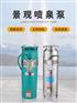 QSP喷泉潜水电泵厂家 景观喷水泵 全铜喷泉泵厂