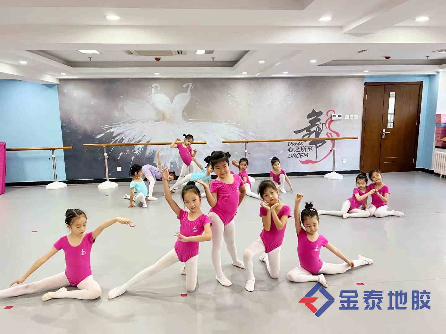 供应衡水舞蹈PVC地板 环保 耐磨 防滑  舞蹈塑胶地板  舞蹈环保地胶