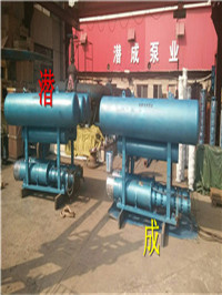 湖泊取水浮筒式潜水泵型号及天津潜成泵业直供