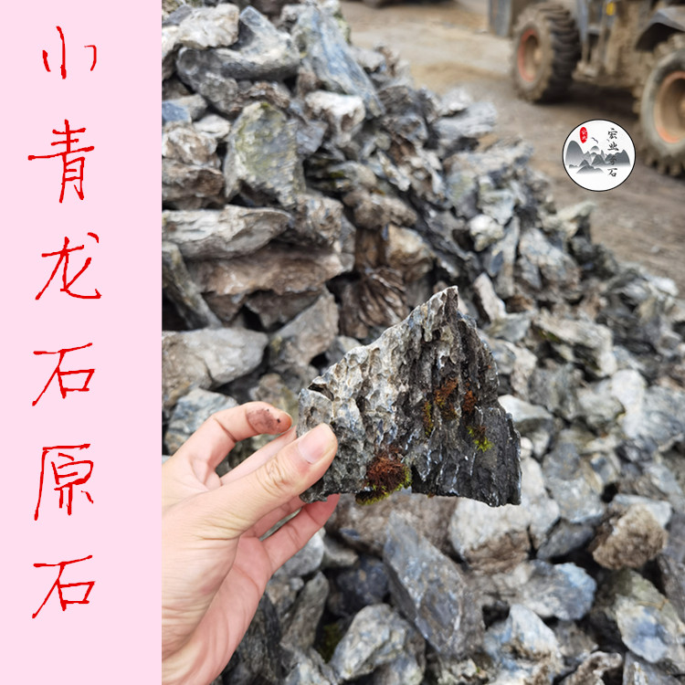 广西小青龙挂壁画石/鱼缸微景观/小号青龙石原石