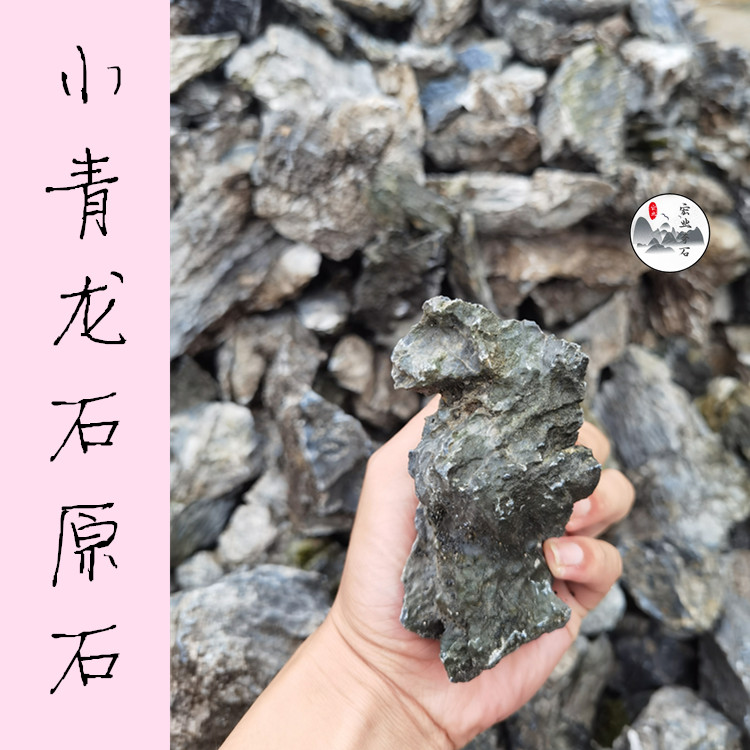 广西小青龙挂壁画石/鱼缸微景观/小号青龙石原石